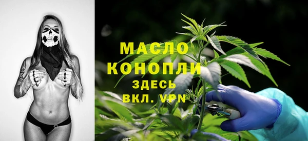 дурь Няндома