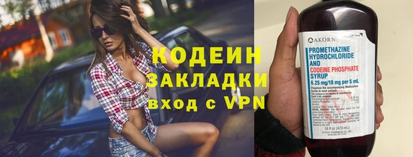 дурь Няндома