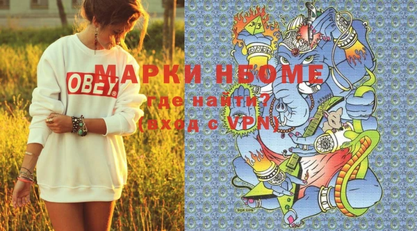 дурь Няндома