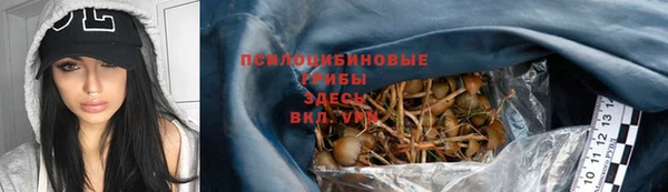 дурь Няндома