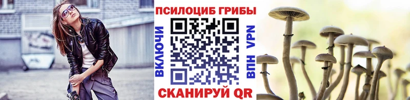 Псилоцибиновые грибы Psilocybine cubensis  ссылка на мегу как зайти  Белоозёрский  магазин  наркотиков 